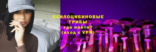 apvp Михайлов