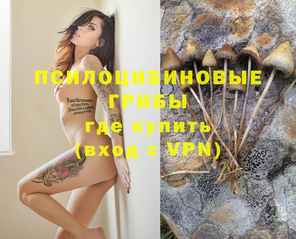 МДПВ Михайловск
