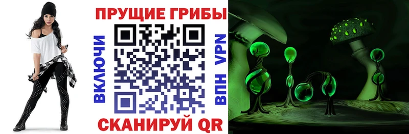 Галлюциногенные грибы Psilocybine cubensis  Рязань 